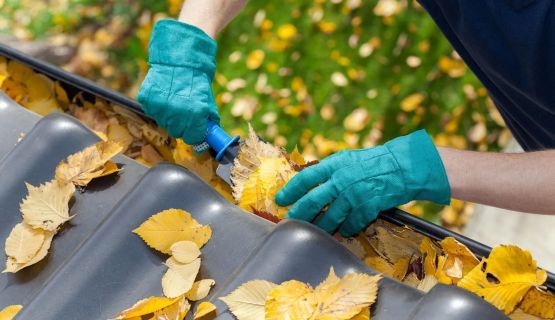 Especialistas en desatascos